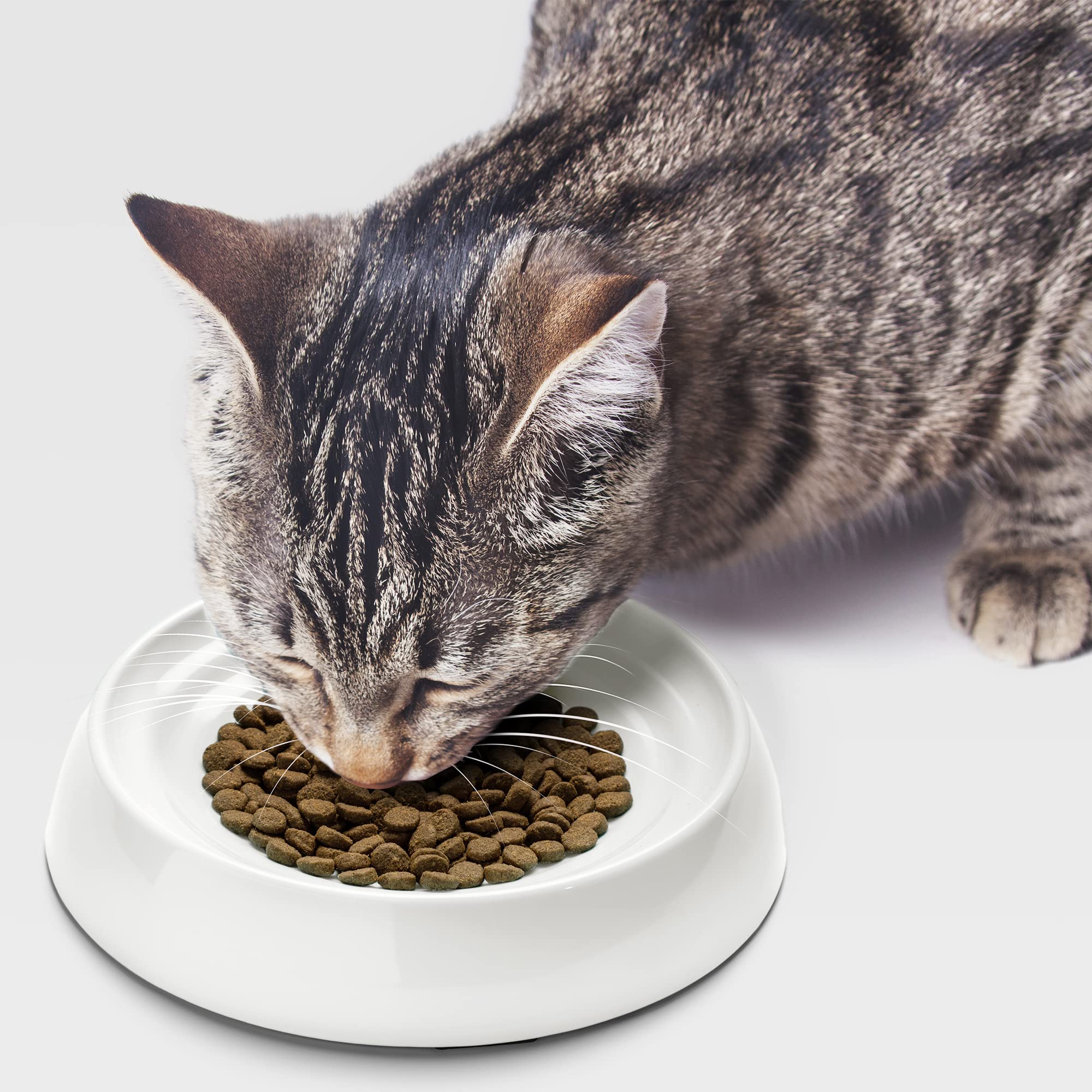 CatGuru tazones para gatos tamaño 6,6 pulgadas para espacios pequeños