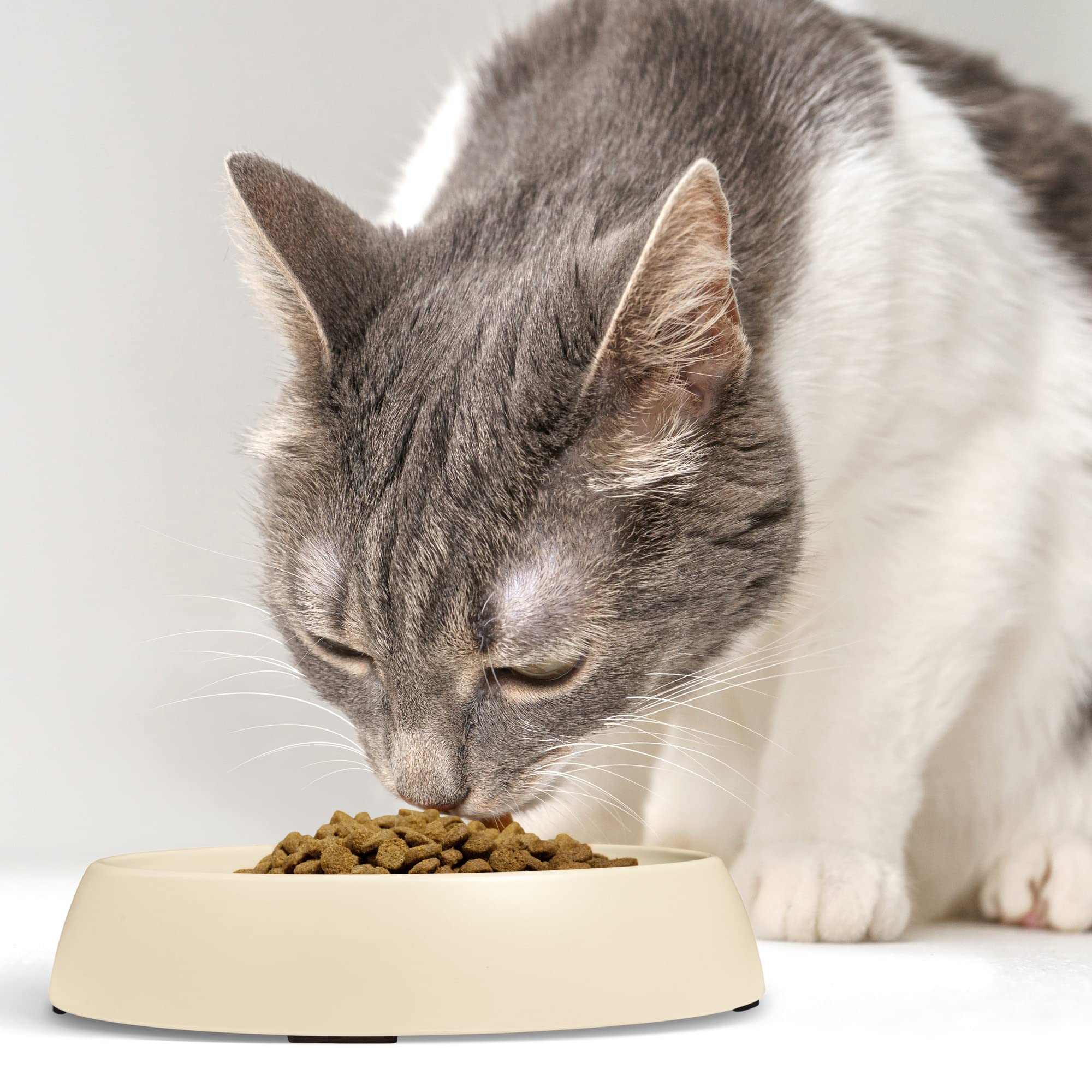 CatGuru tazones aptos para lavavajillas, limpieza rápida y sencilla.