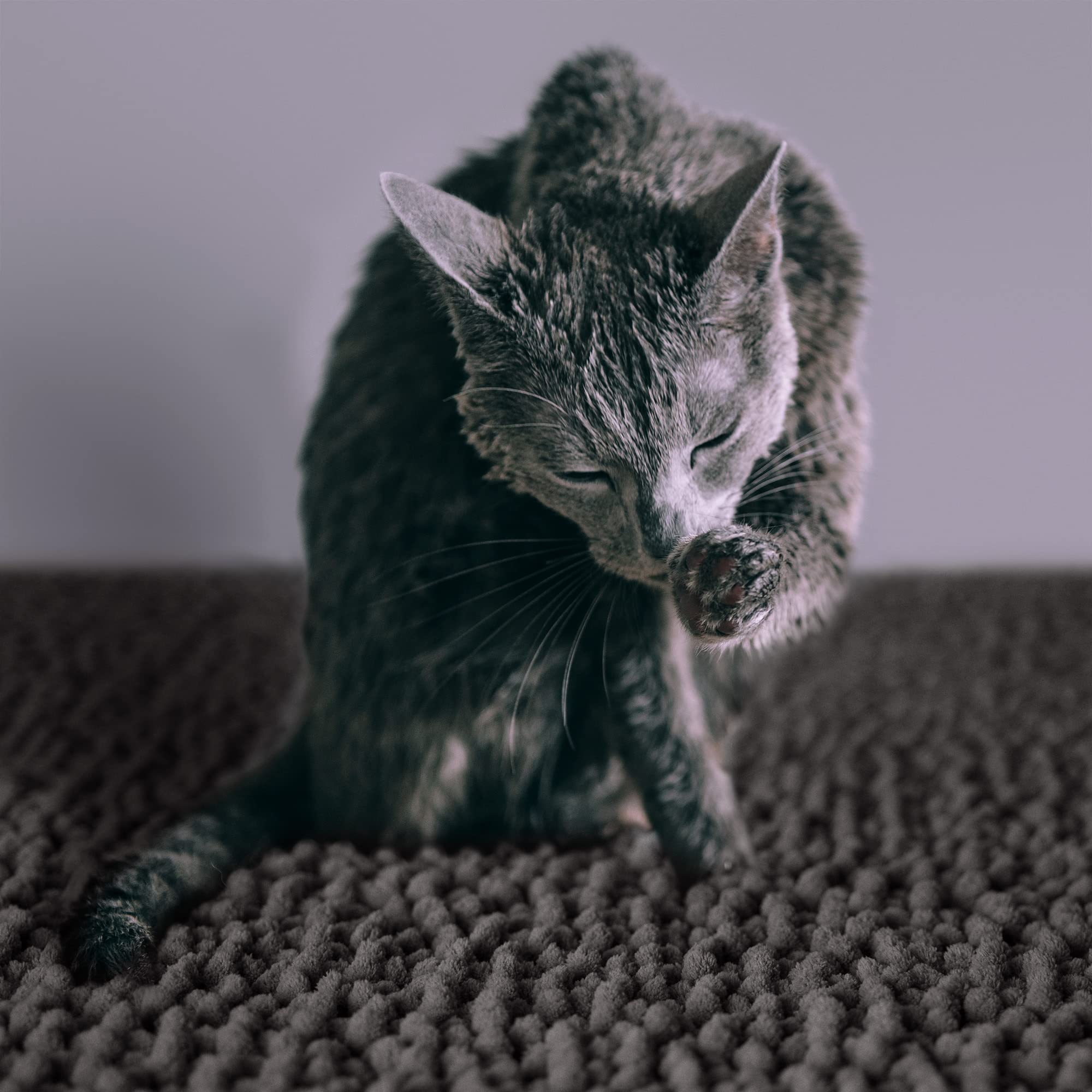 CatGuru tejido-microfibra-suave cuida las patas del gato.