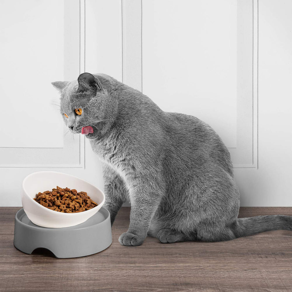 CatGuru Mesa de Alimentación para Gatos uso fácil y limpieza simple.