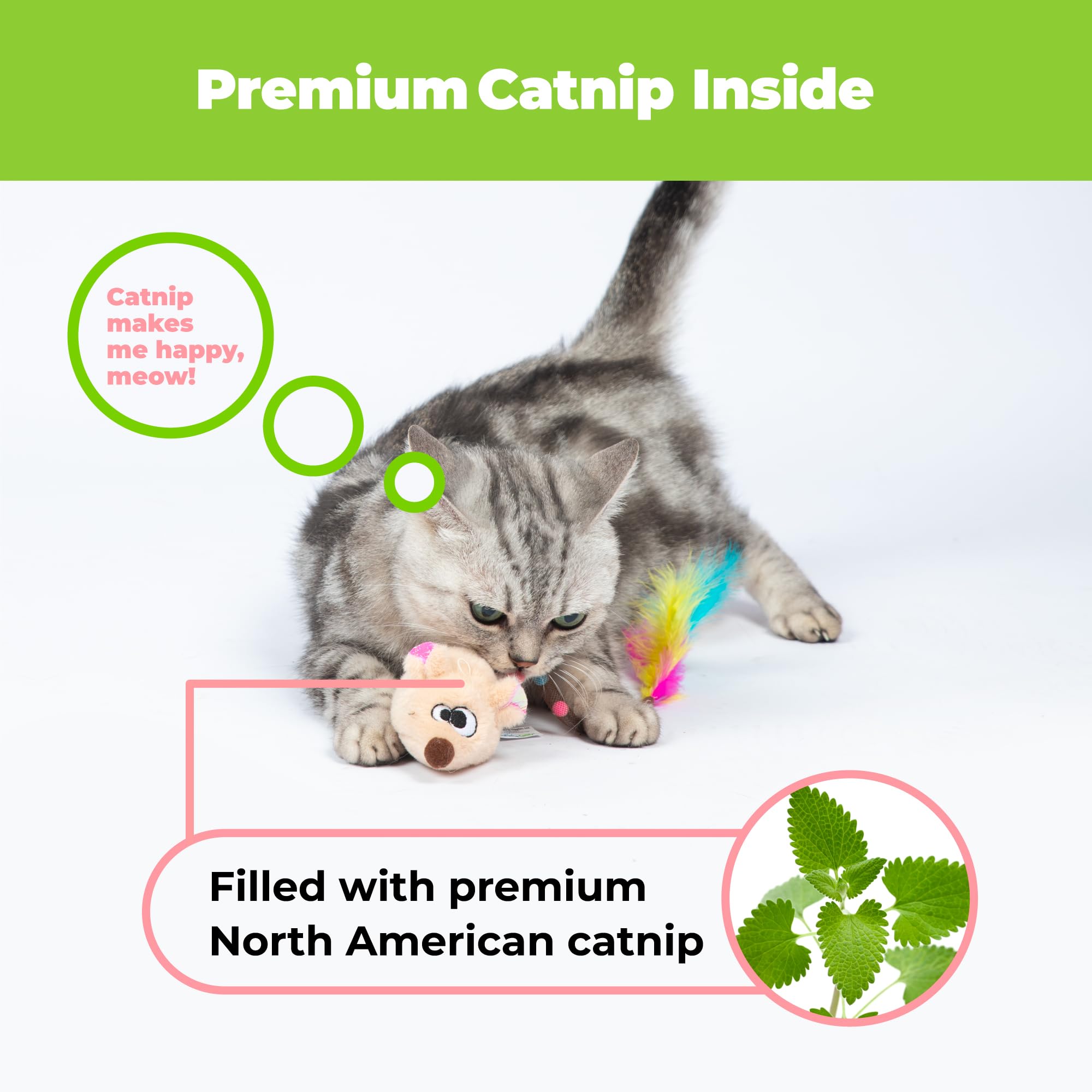 Catify de Best Pet Supplies, cuerpo de malla elástica ofrece rebotes impredecibles para perseguir.