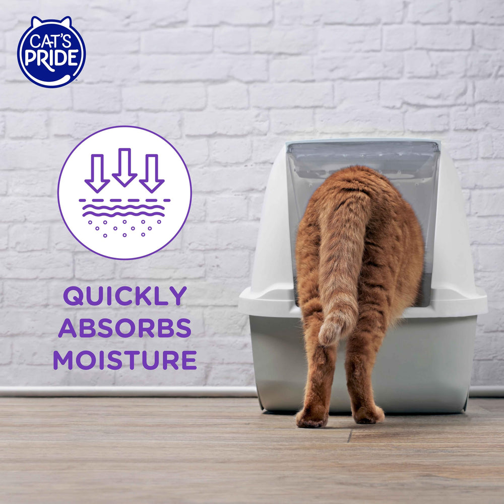 Cat's Pride: fácil de llevar y rellenar, ideal para hogares ocupados.