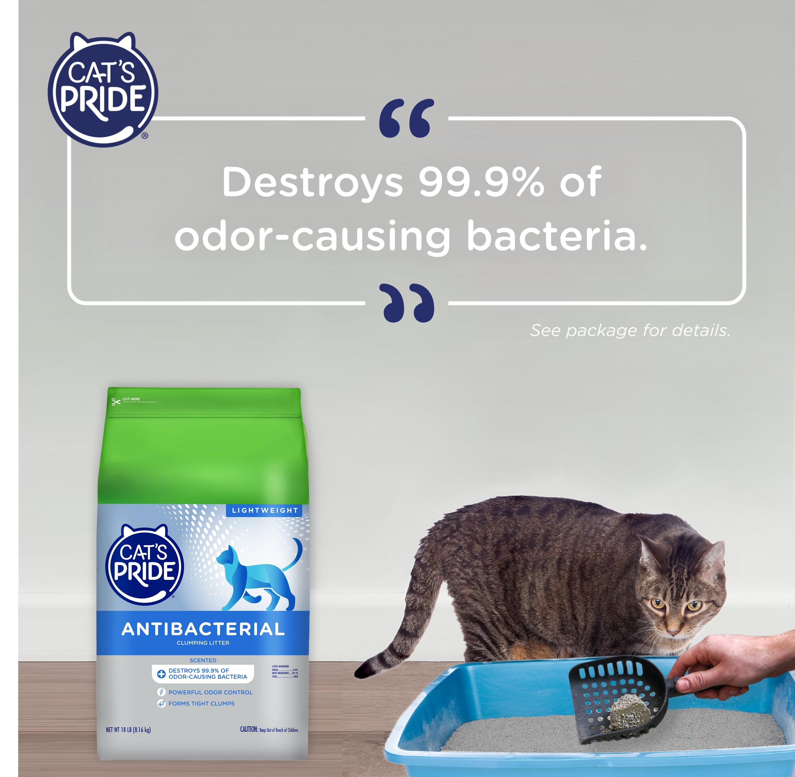 Cat's Pride para todos los gatos