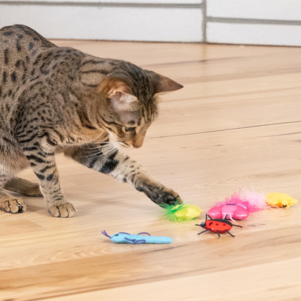 Catstages Cute as a Bug: juego en casa con juguetes interactivos para gatos.