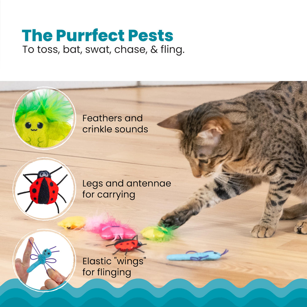 Catstages Cute as a Bug: Kyle con malla dental para juego texturizado.
