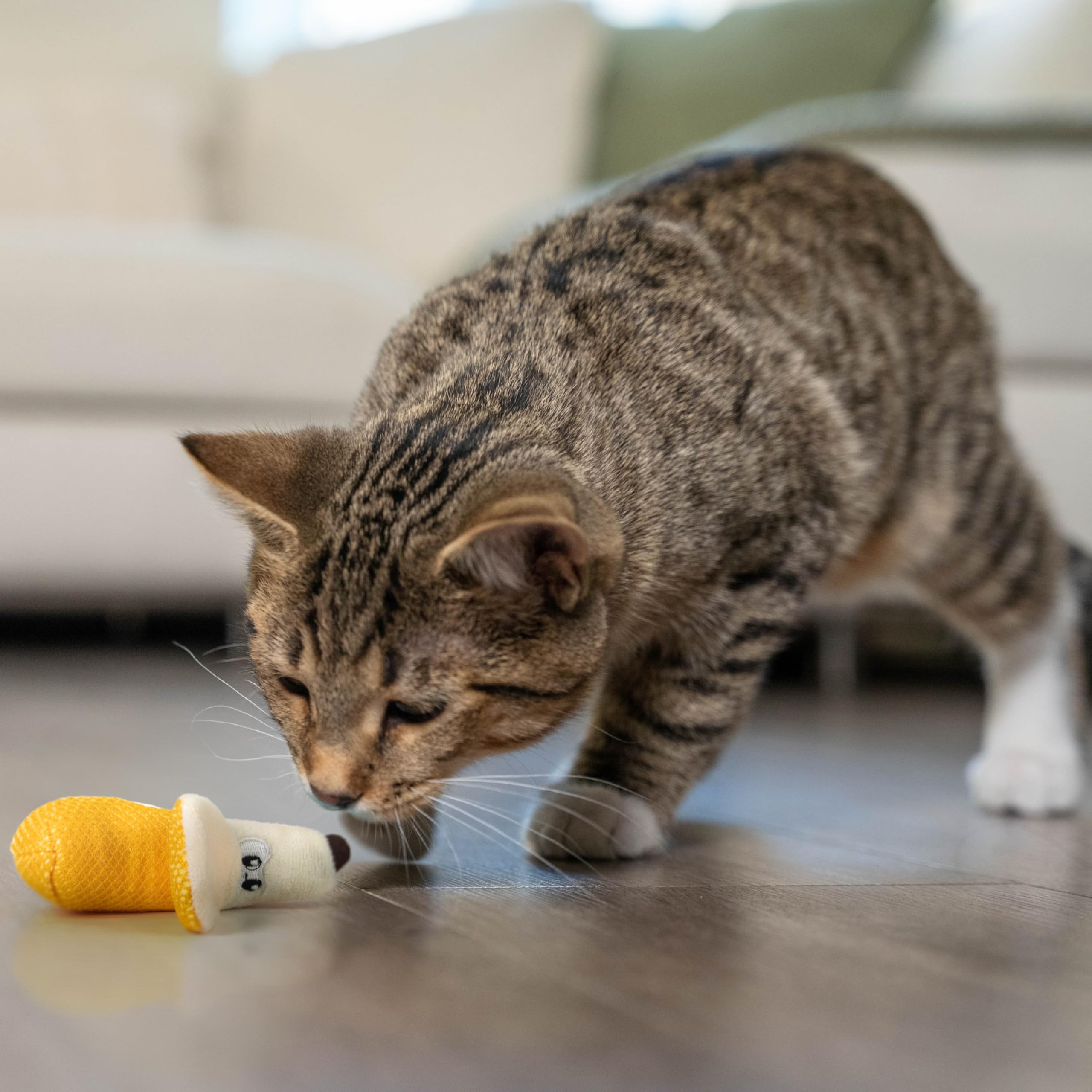 Catstages Dental Banana Uso Diario: diseño apto para juego diario en casa.