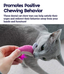 Catstages Dental Shrimpies: usa para lanzar y estimular el ataque juguetón.