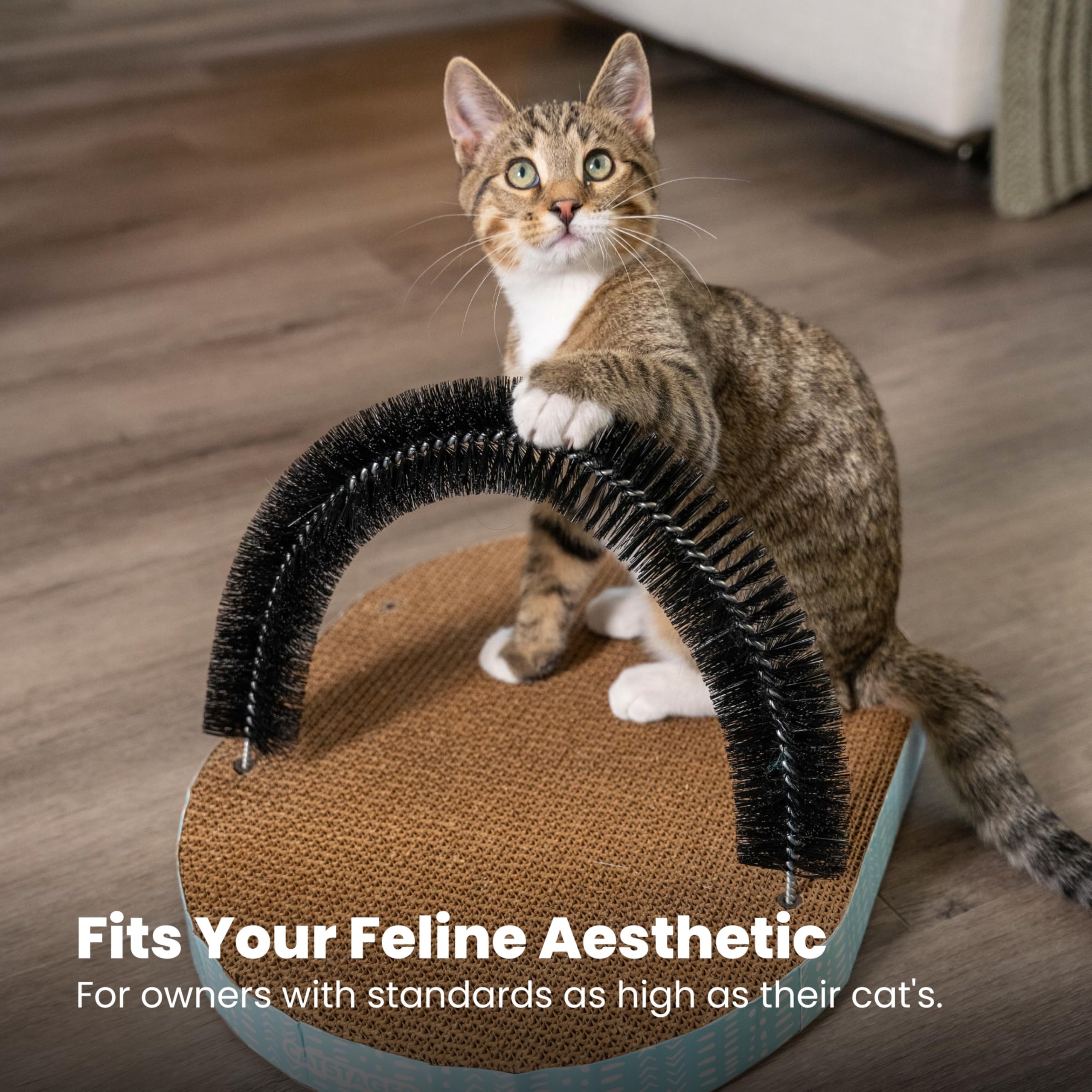 Catstages diseño moderno que encaja con la decoración del hogar.