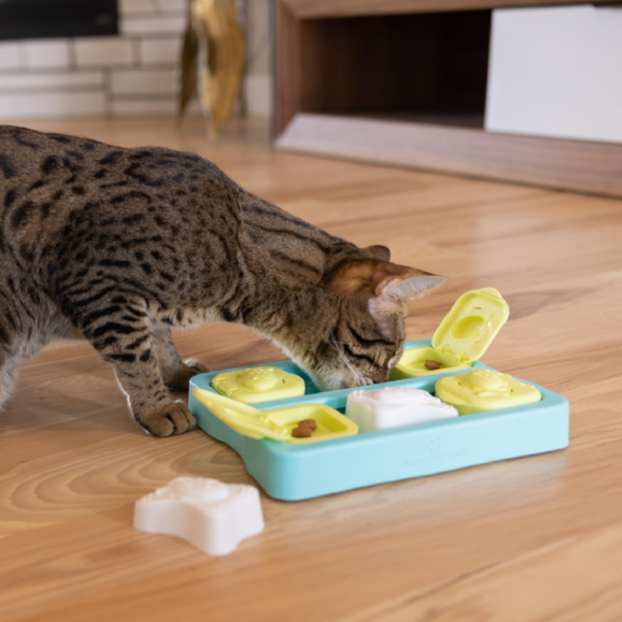 Catstages Kitty Cube: enriquecimiento diario para gatos