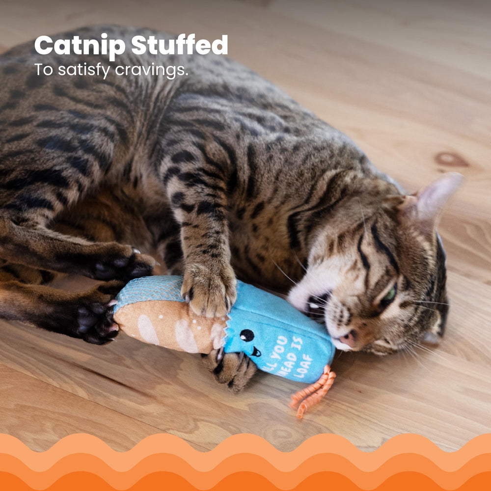 Catstages Loaf Kicker con catnip infusionado para fomentar actividad y diversión