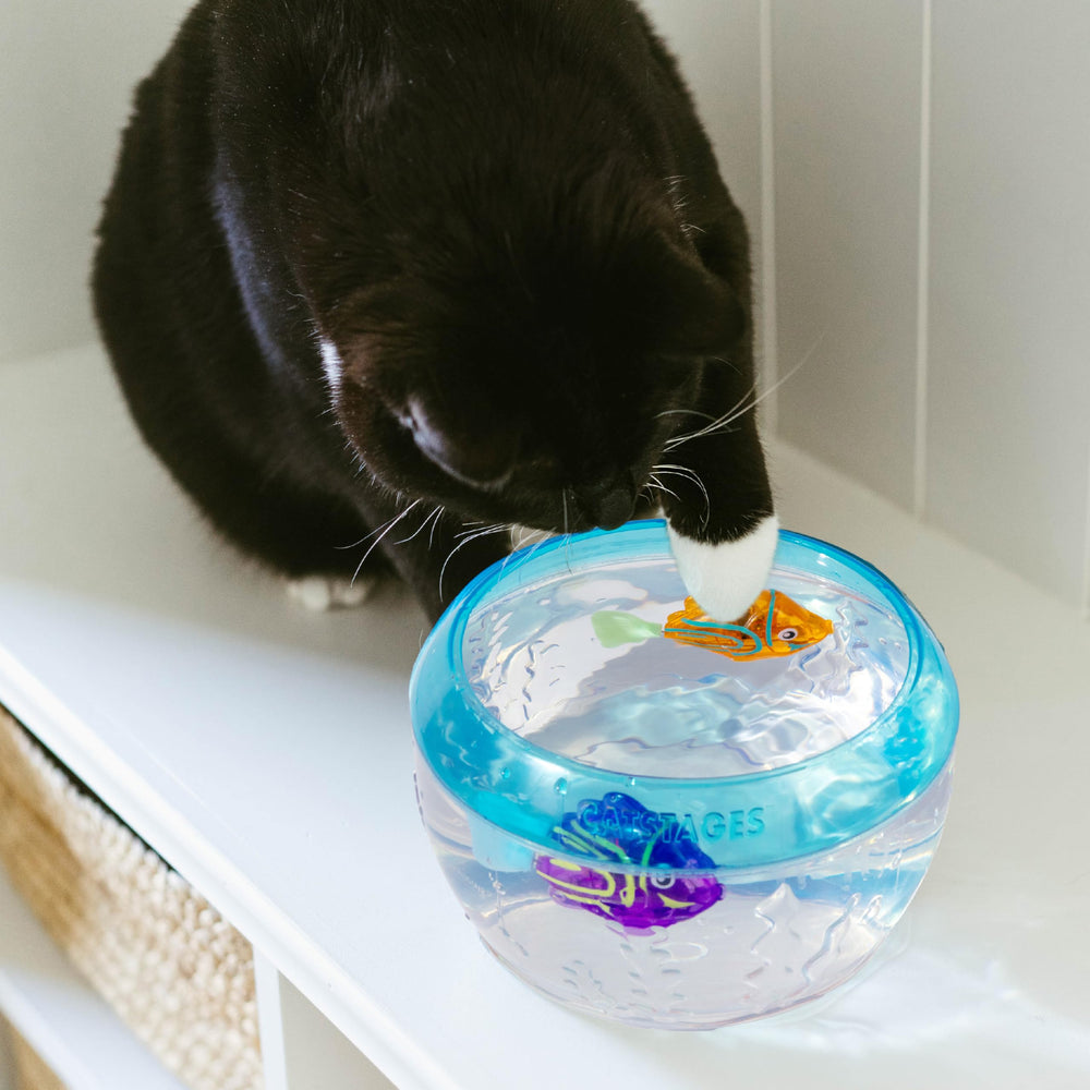 Catstages Meow-smerizing Fish entrenamiento-mental en casa para gatos curiosos