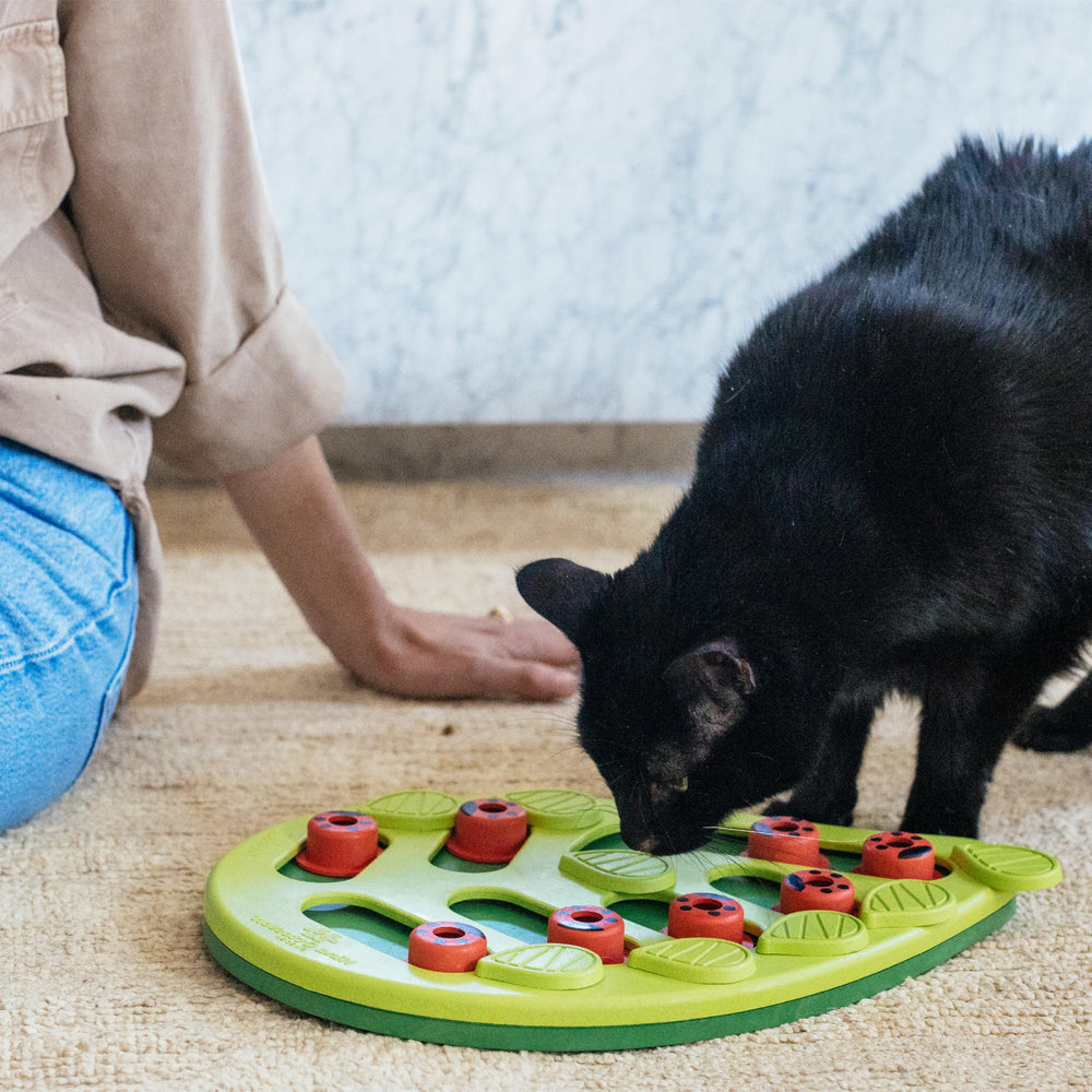 Catstages Nina Ottosson Buggin' Out, tamaño 13x9 pulgadas, ideal para juegos y comidas