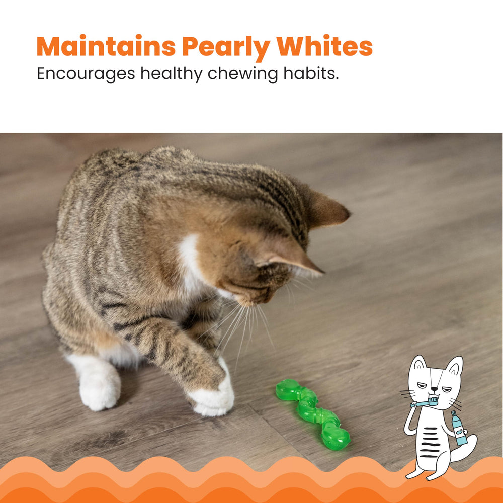 Ideal para dientes en gatitos en crecimiento y curiosos exploradores