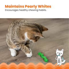Ideal para dientes en gatitos en crecimiento y curiosos exploradores