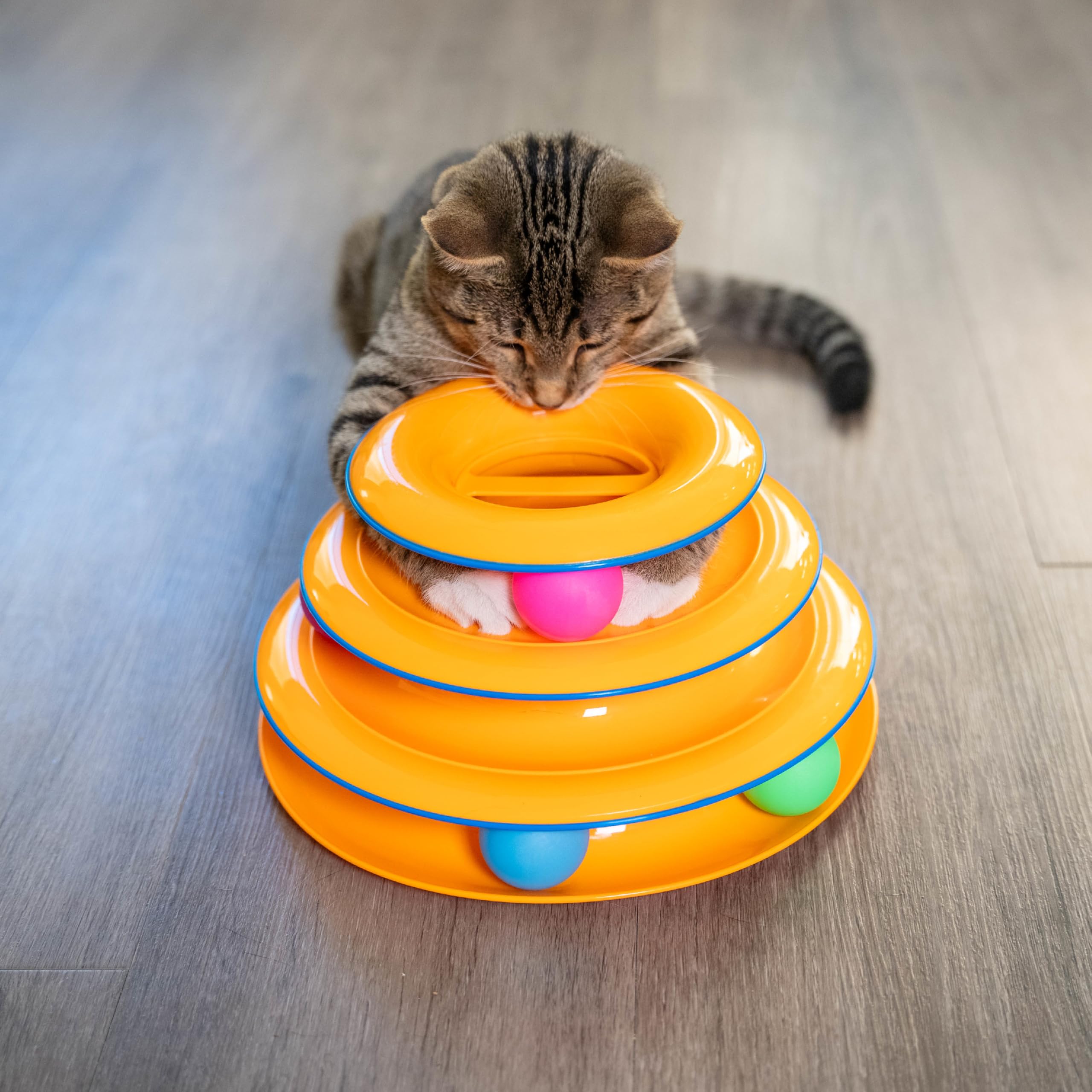 Pelotas Catstages para foso de bolas, compatibles con pistas cerradas