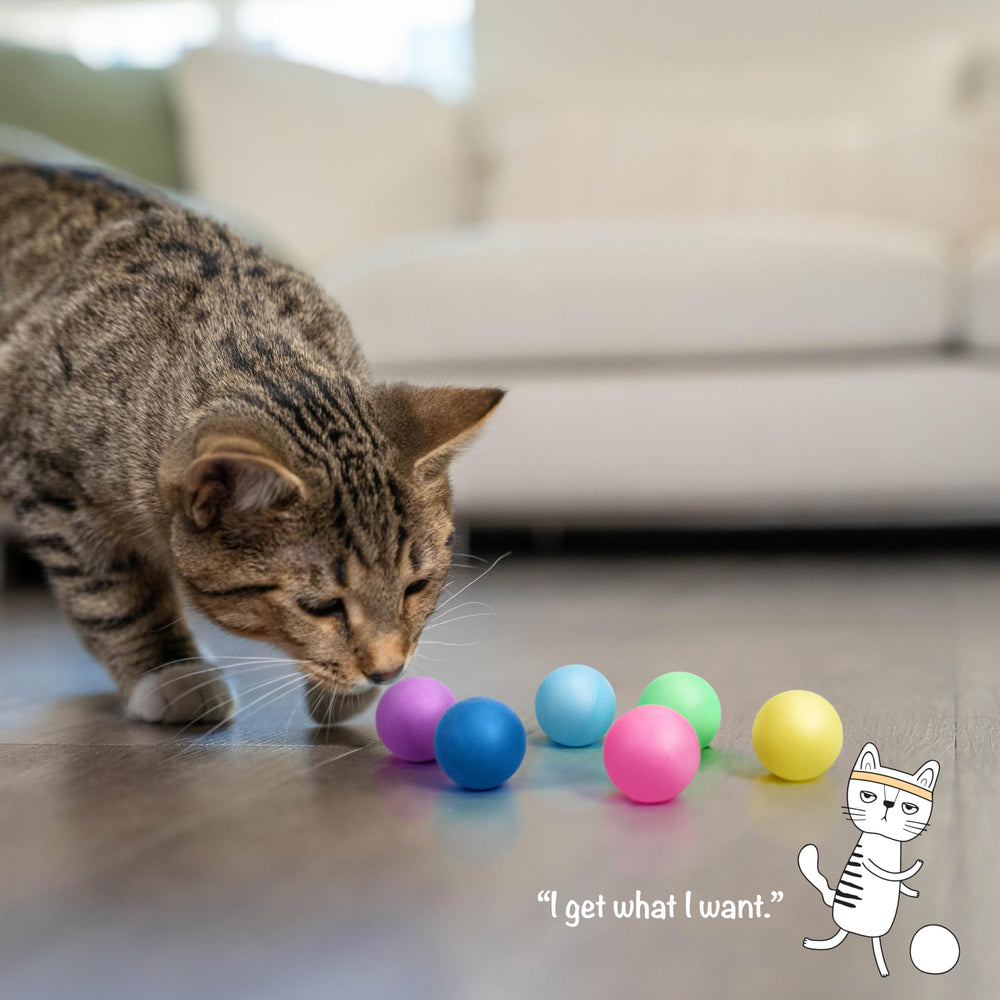 Pelotas Catstages para juego independiente, mantienen al gato activo