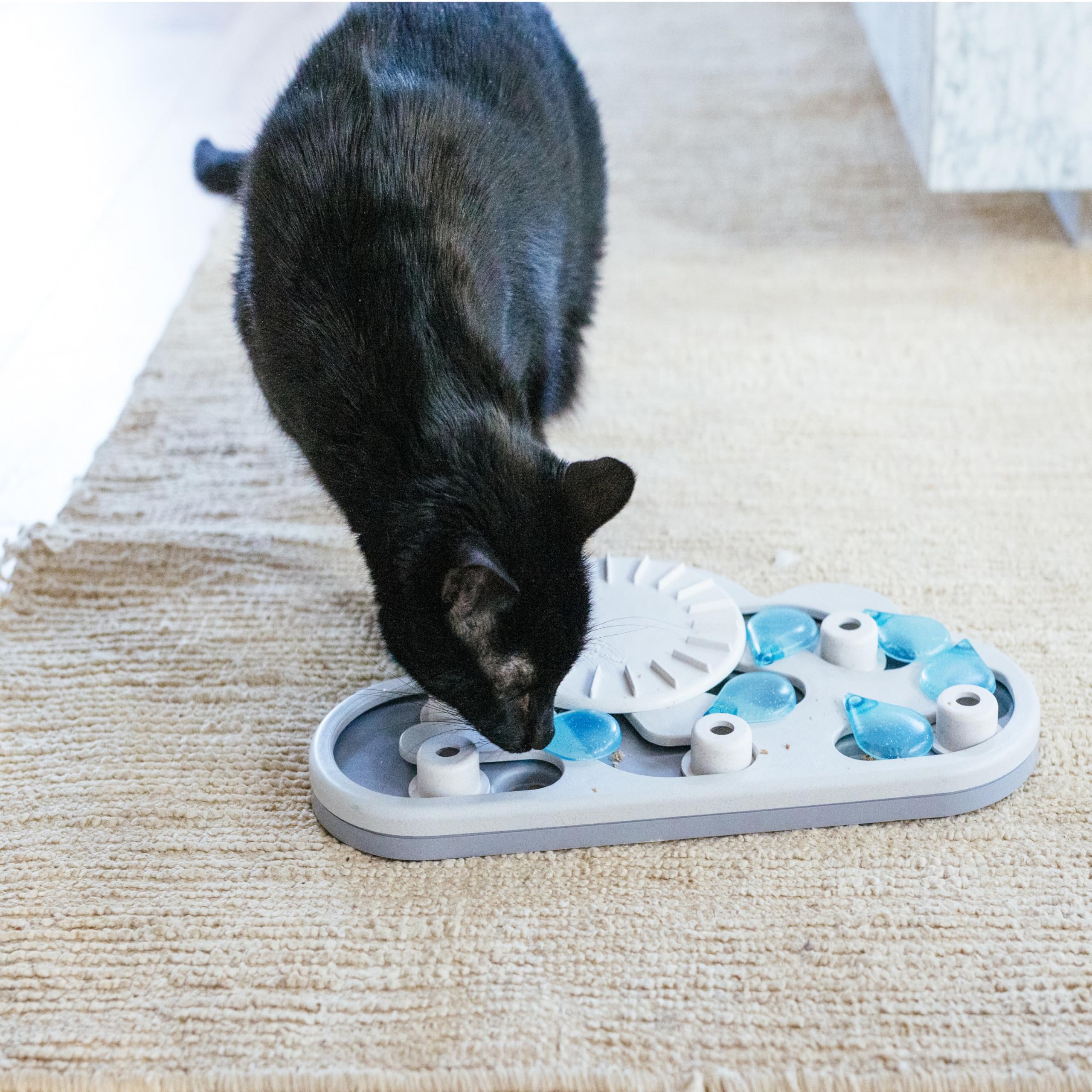 Catstages Rainy Day Puzzle: ideal para juego en interior y enriquecimiento