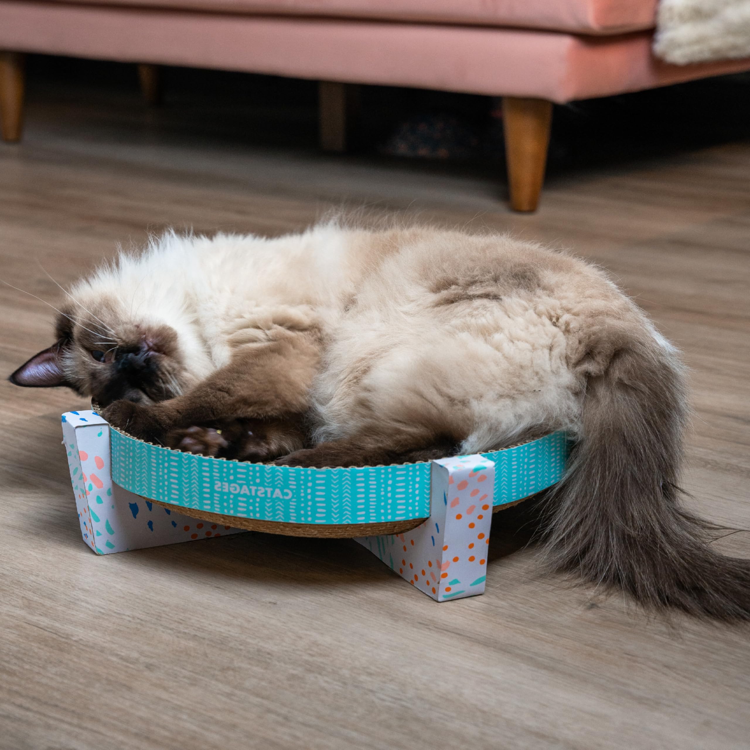 Catstages todo-en-uno ofrece rascar, descansar y jugar.