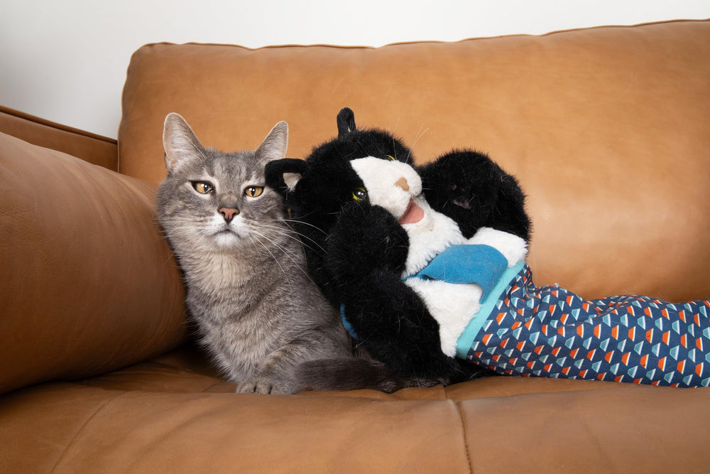 CATSUMO diseño-interactivo: entretenimiento seguro y versátil para mascotas