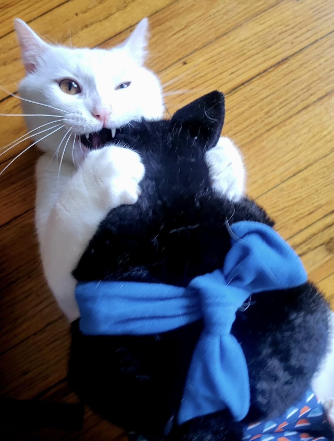 CATSUMO juego-multi-gatos: ideal para ejercitar varios felinos