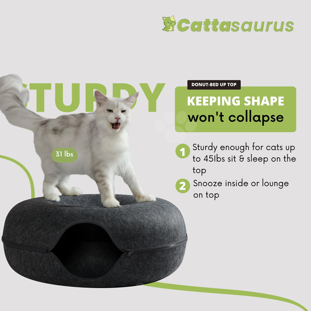 Cattasaurus Peekaboo Comodidad 2 en 1: refugio y túnel en un solo diseño.