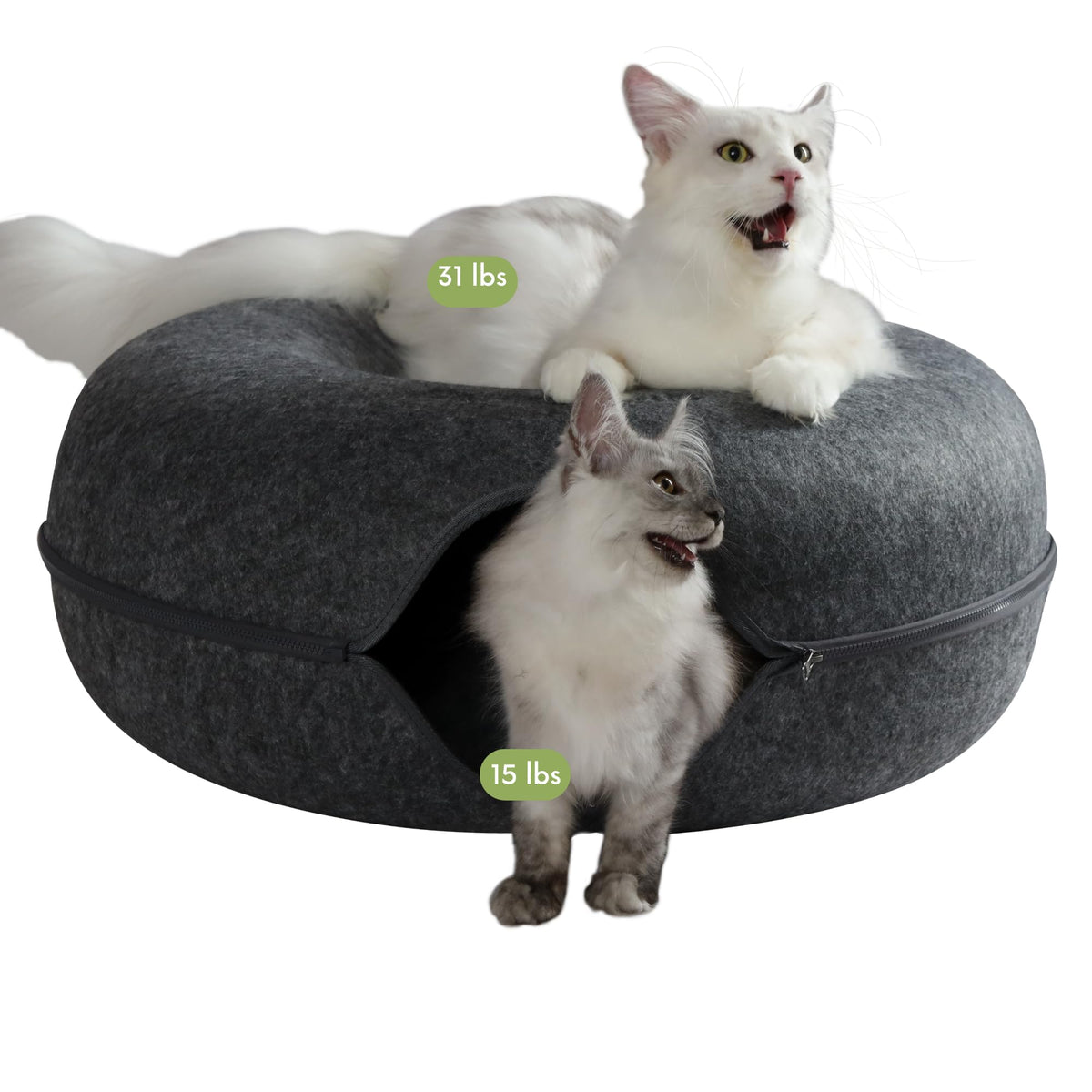 Cattasaurus Peekaboo: cueva en forma dona para descanso cómodo de gatos grandes