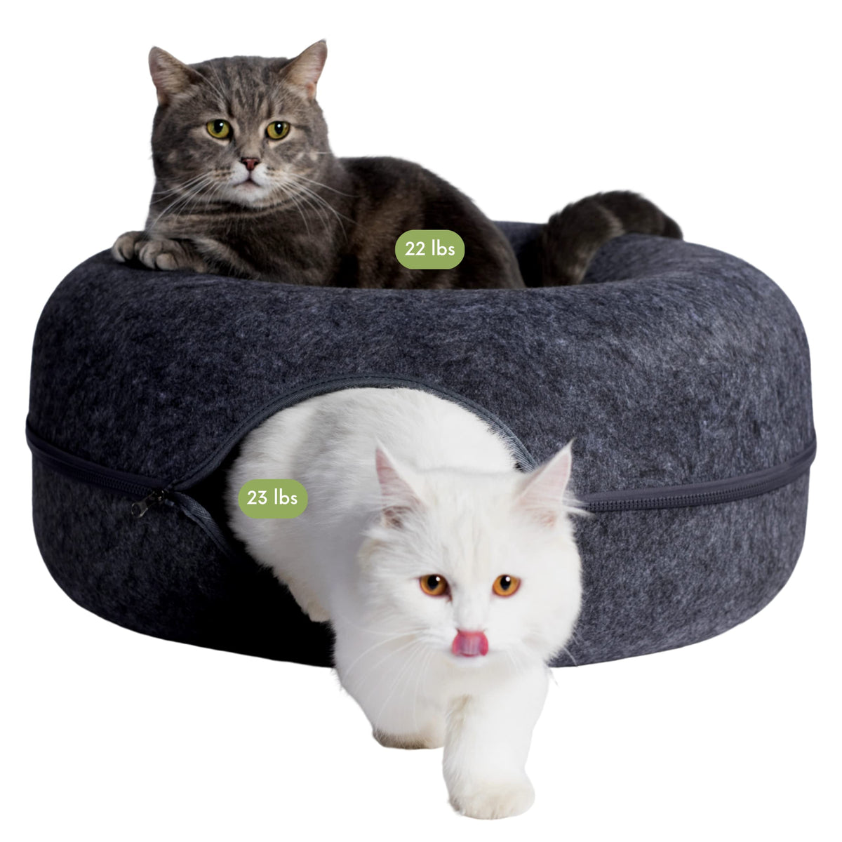 Cattasaurus Peekaboo cueva para gatos grandes, espacio cómodo para dormir y vigilar.