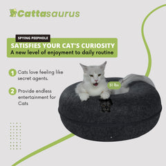 Cattasaurus Peekaboo: diseño moderno en gris oscuro para armonizar la sala