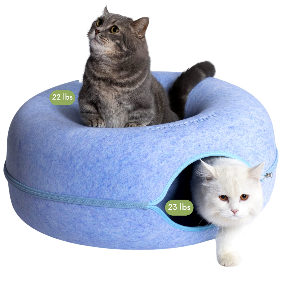 Cattasaurus Peekaboo cueva con cama circular frontal, descanso cómodo para gatos.
