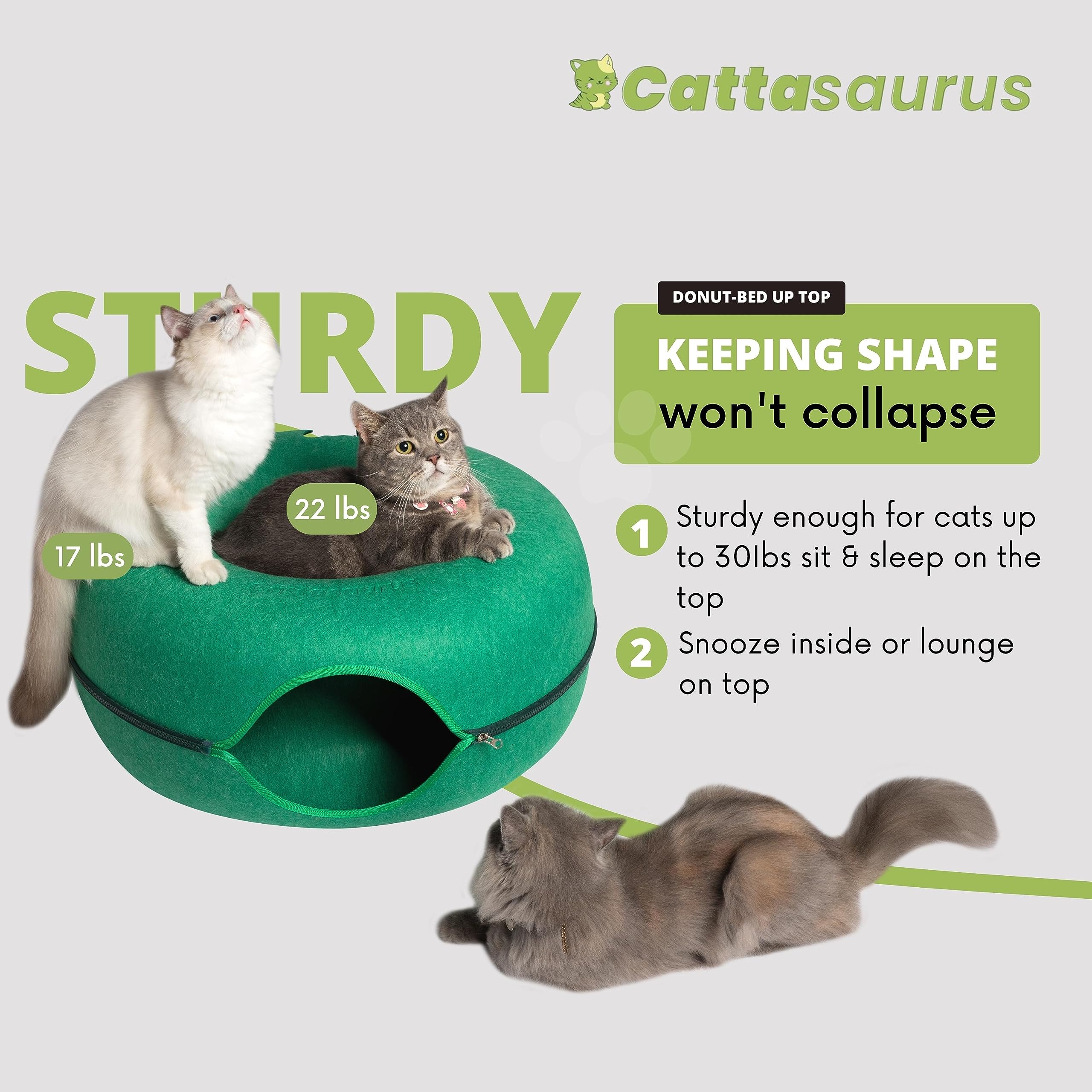 Cattasaurus Peekaboo Tunel Gato Verde Bosque, espacio amplio para juego y descanso.