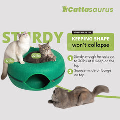 Cattasaurus Peekaboo Tunel Gato Verde Bosque, espacio amplio para juego y descanso.