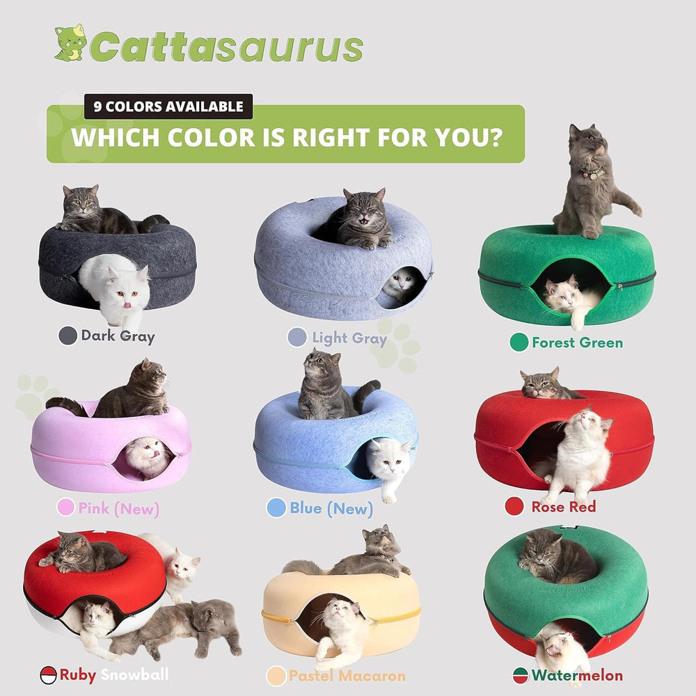 Cattasaurus Peekaboo ideal para varias mascotas, perfecto en hogares con más de una.
