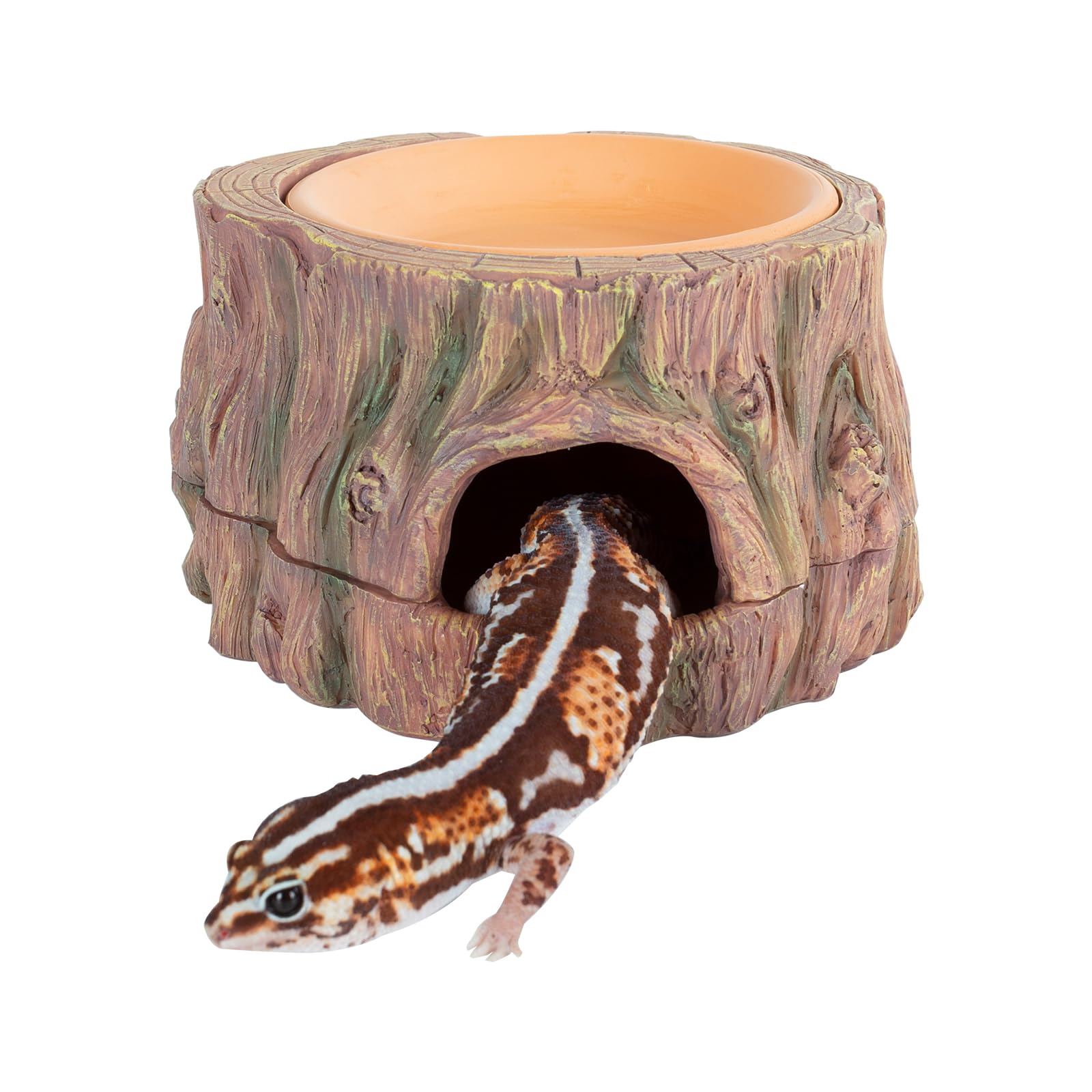 CAVACHEW cueva-oculta-3en1, refugio seguro para reptiles.