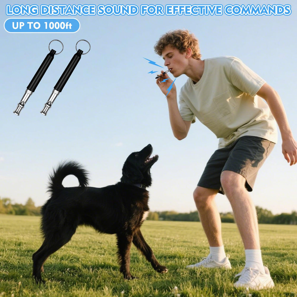 CdbC silbato para entrenamiento al aire libre, parques ideales.