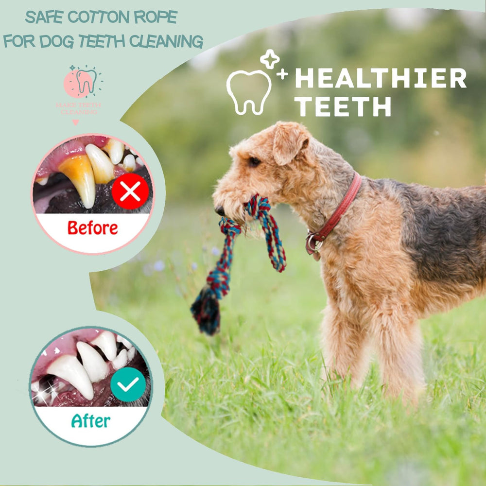 Cdyzqikm Cuerda resistente para perros grandes y masticadores activos.