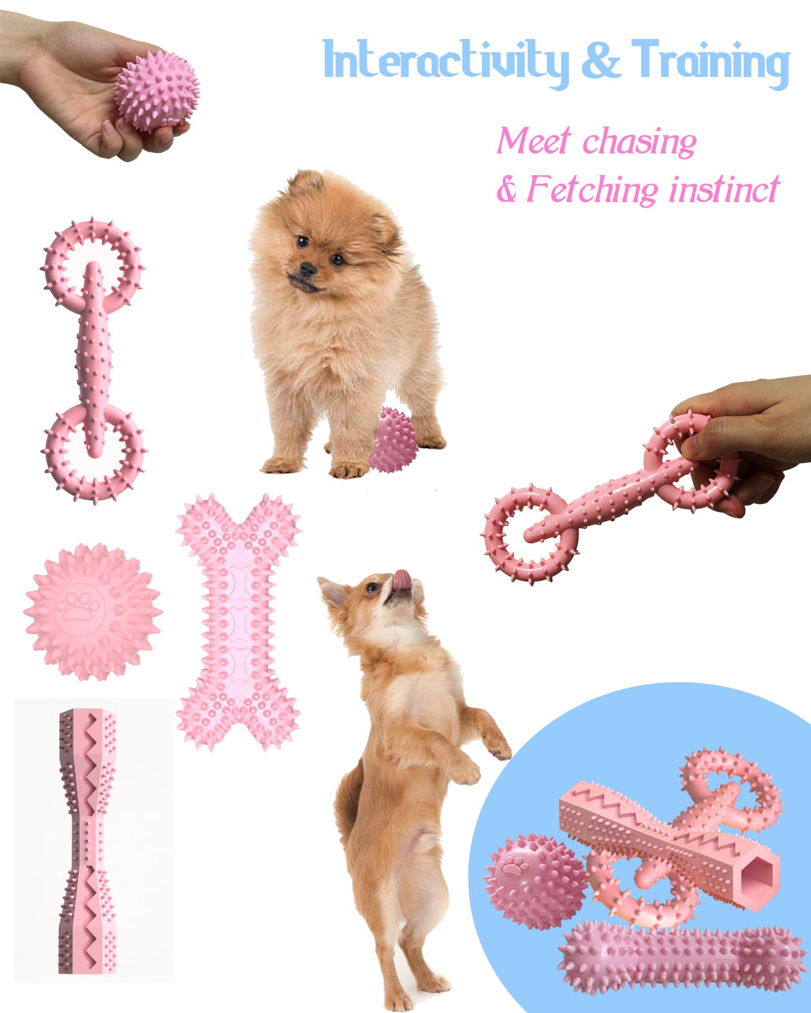 Juguete puzzle con premio para estimular juego y búsqueda de golosinas.
