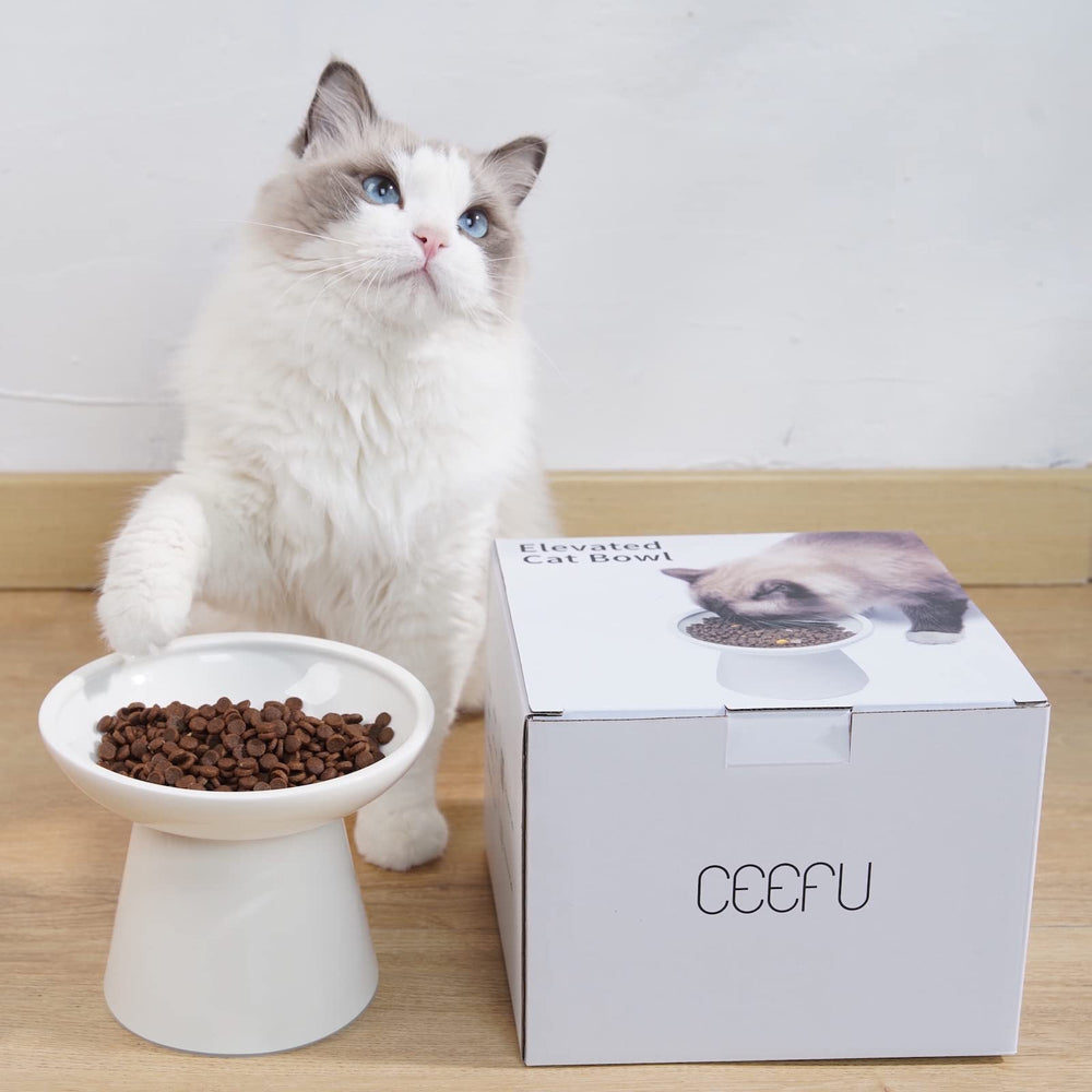 CEEFU cuenco elevado de cerámica, base estable para evitar vuelcos durante las comidas