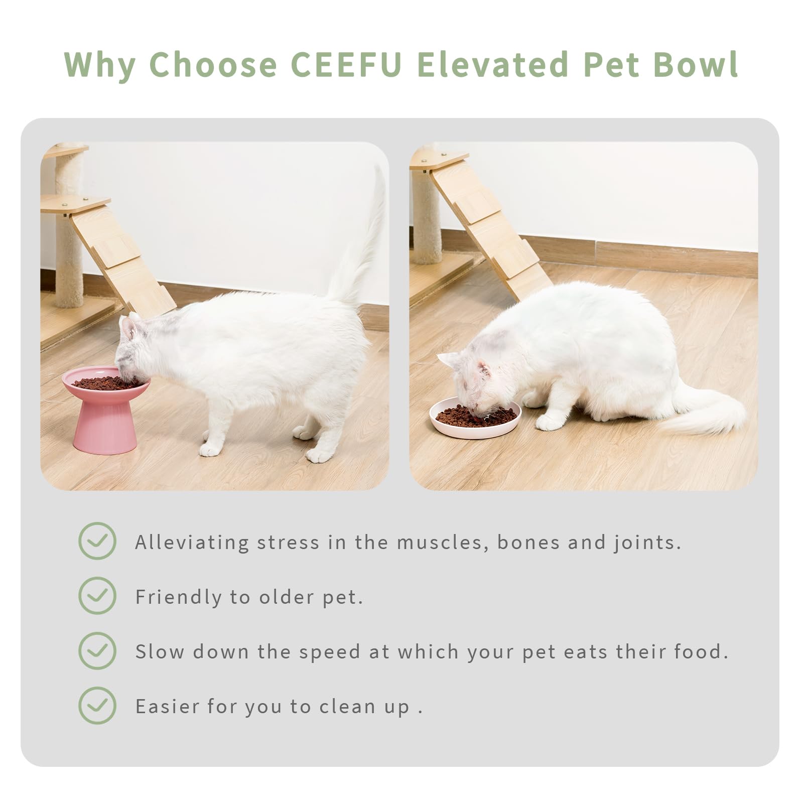 CEEFU diseño estetico rosa, tazones elevados para gatos, decoración elegante.