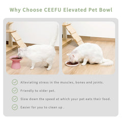 CEEFU diseño estetico rosa, tazones elevados para gatos, decoración elegante.