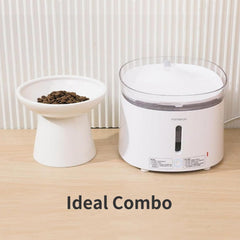 CEEFU tazón elevado con borde suave: facilita acceso cómodo a la comida