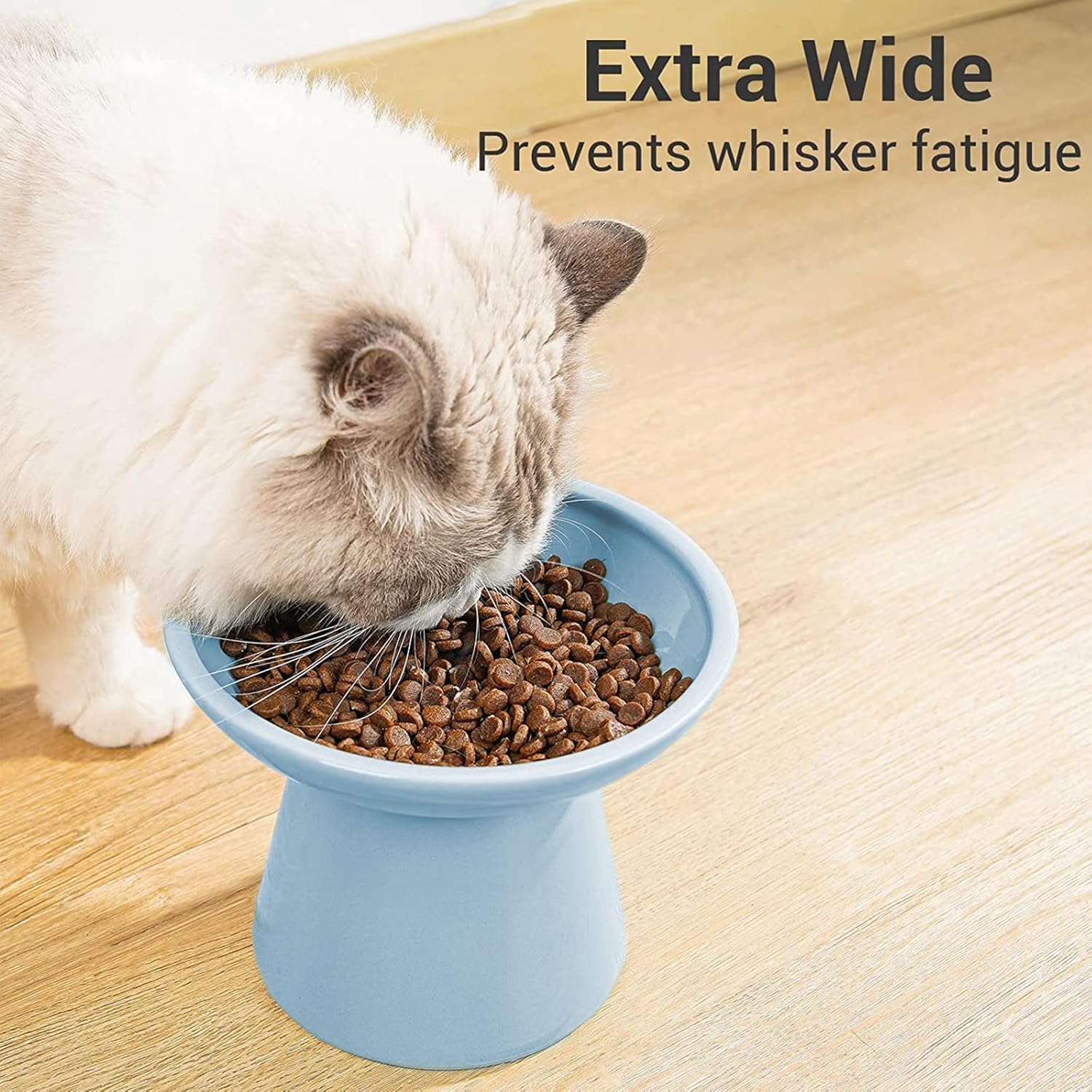 CEEFU tazón para gatos, diseño elegante que complementa cualquier hogar.