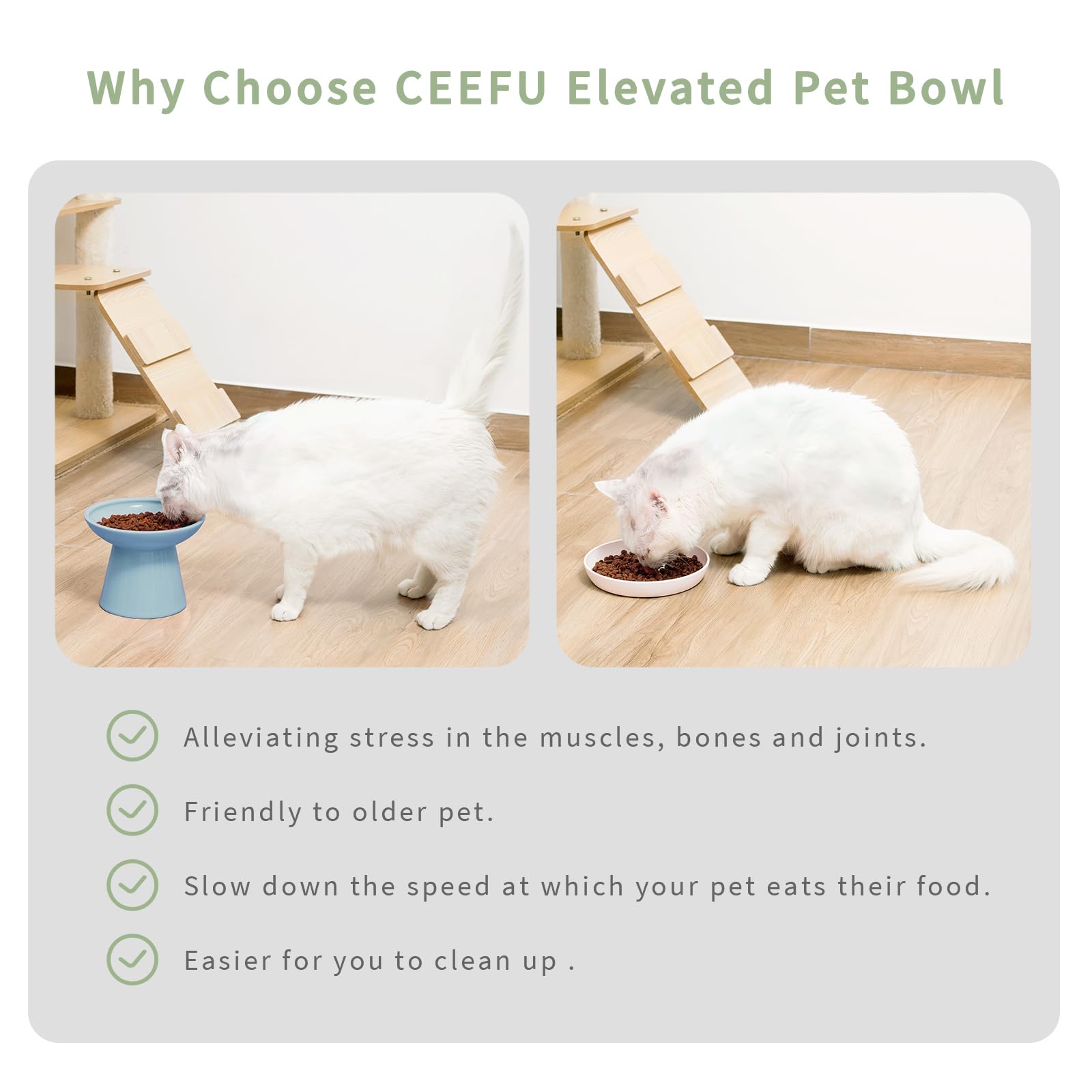 CEEFU tazón apto para lavavajillas y microondas, diseño práctico.