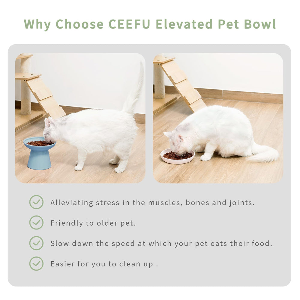 CEEFU tazón apto para lavavajillas y microondas, diseño práctico.