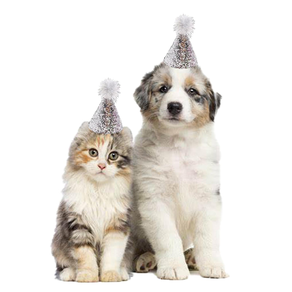 Conjunto de sombreros para fiestas de mascotas Cellcacn.
