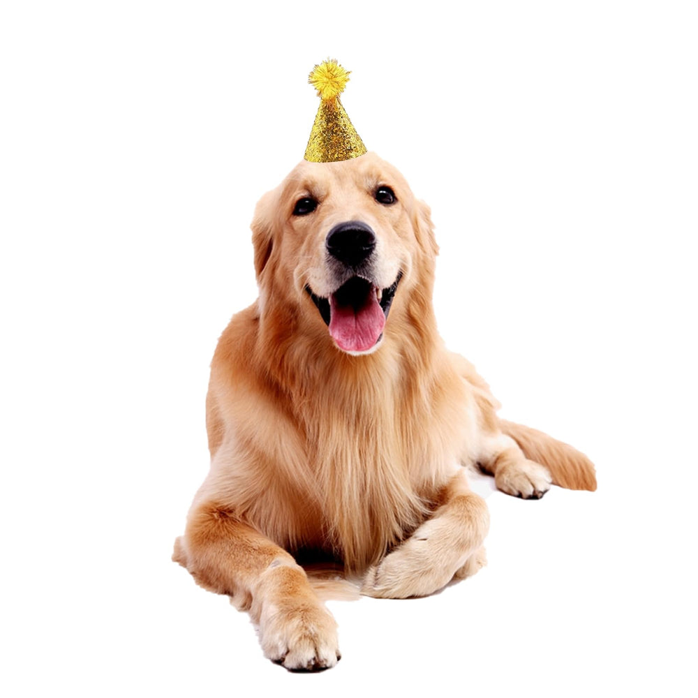Sombrero con lentejuelas y pompón para mascotas Cellcacn.