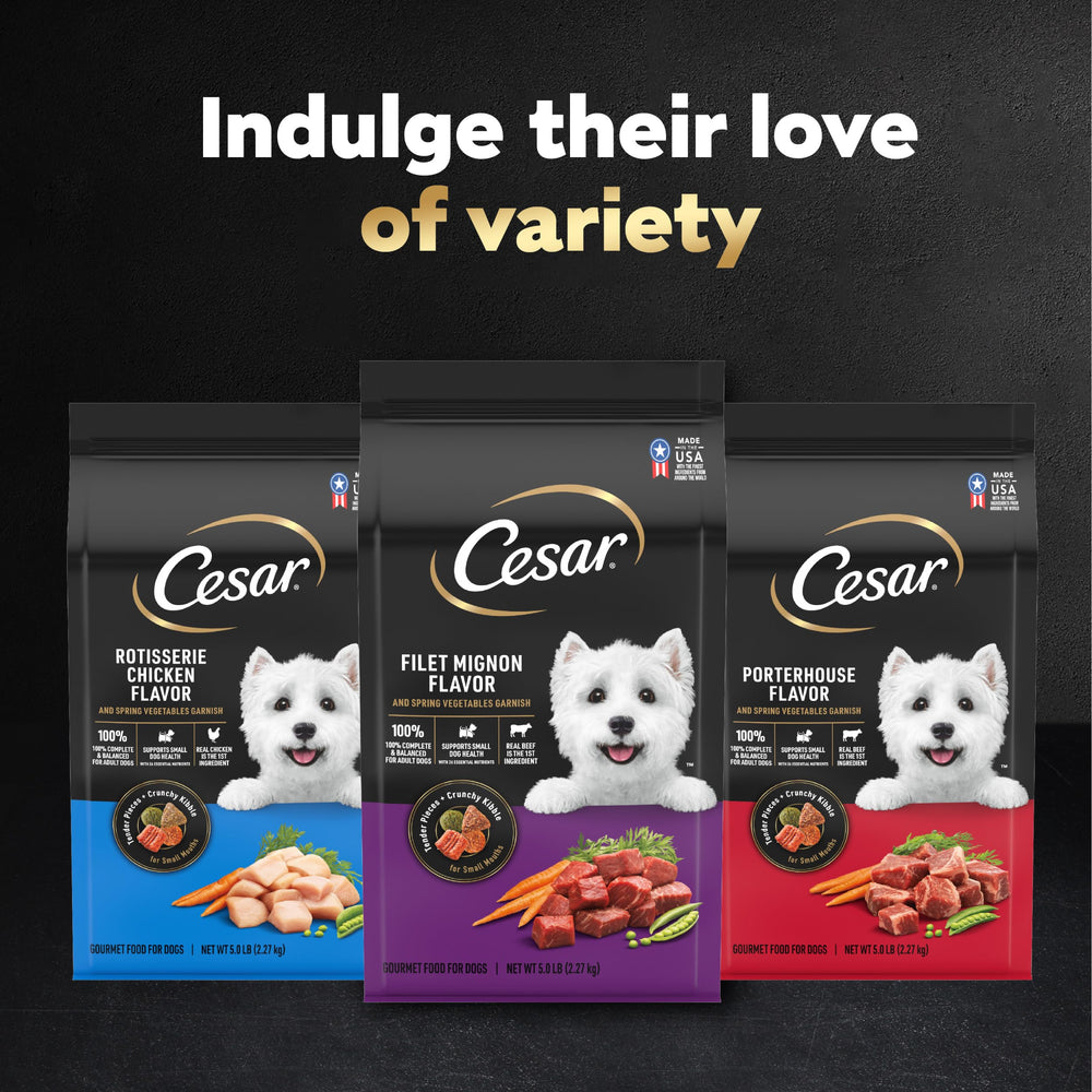 César, experiencia de comida sabrosa para perros pequeños y dueños.