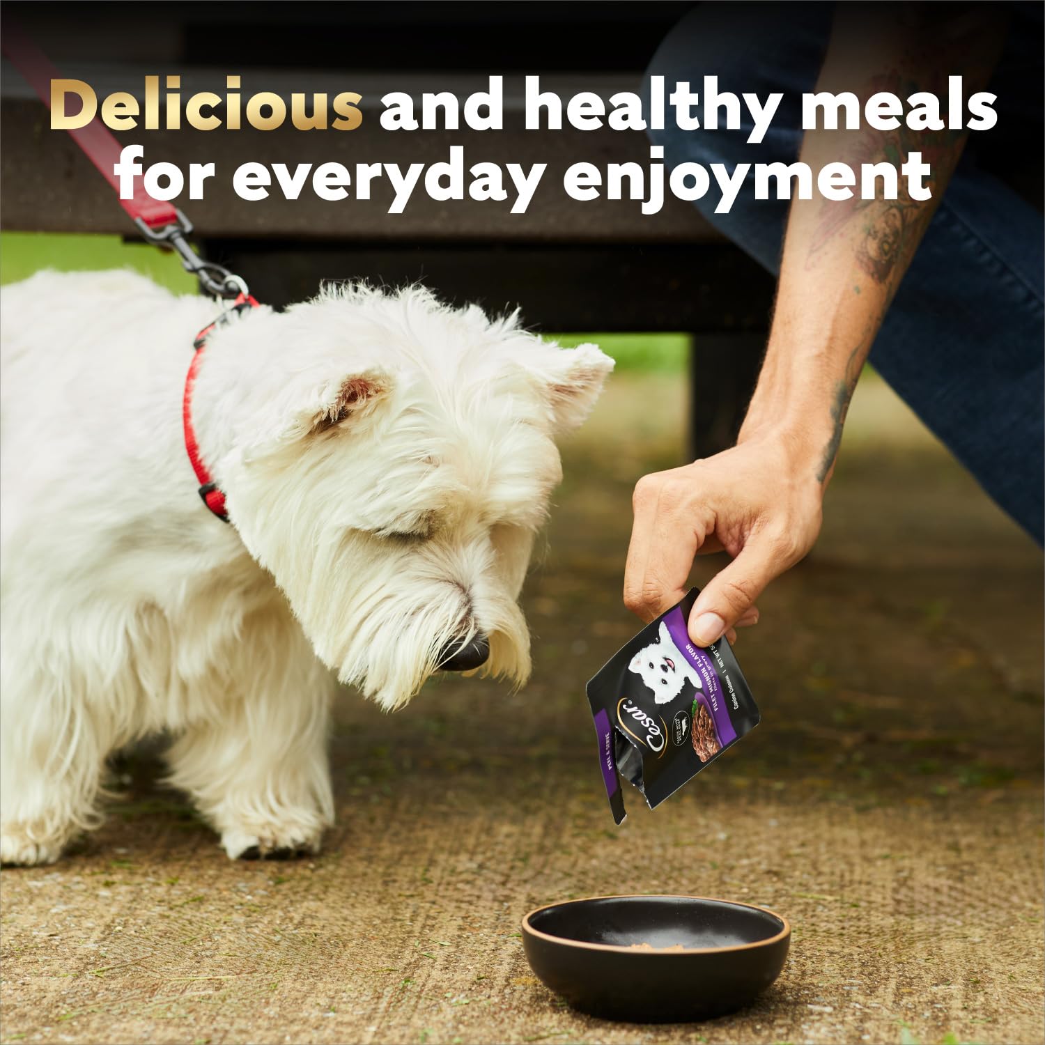 Cesar Filetes Angus con sabor auténtico para perros exigentes