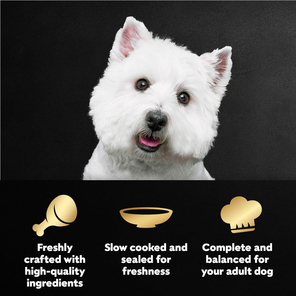 Cesar Filetes en Salsa con pollo rostizado, snack sabroso para perros adultos.