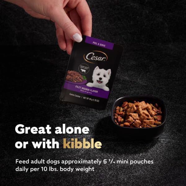Cesar Filets in Gravy: 100% completo y equilibrado para perros adultos.