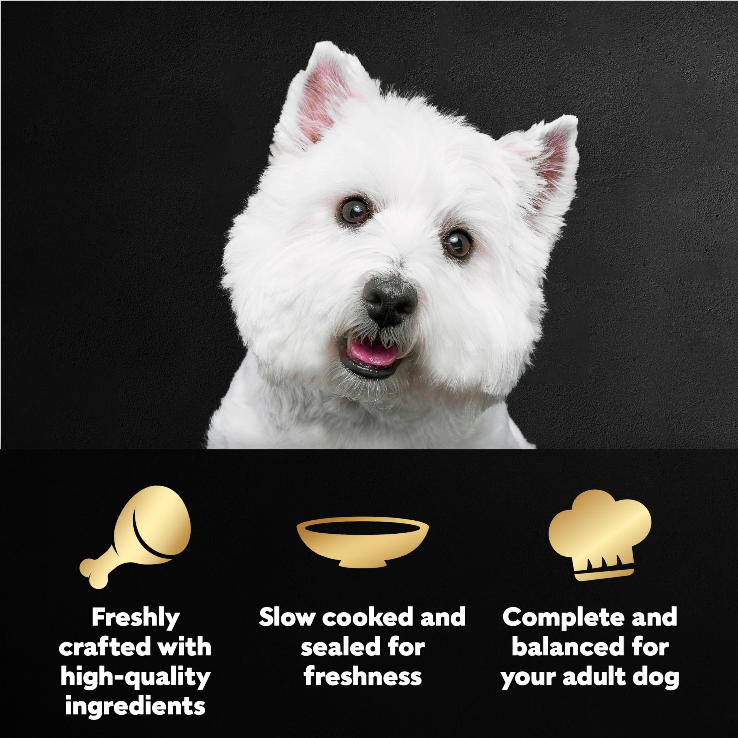 Cesar Filets en Salsa Filete Mignon Bovino: sabor intenso para premiar a tu perro.